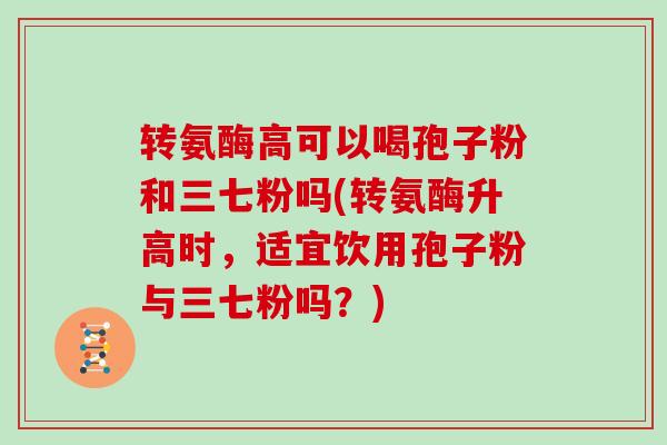 转氨酶高可以喝孢子粉和三七粉吗(转氨酶升高时,适宜饮用孢子粉与三七粉吗?)