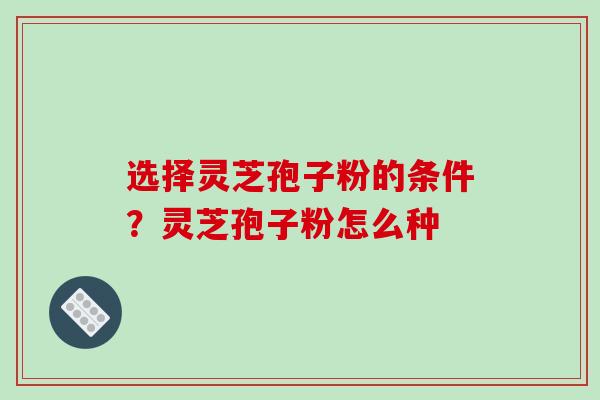 选择灵芝孢子粉的条件?灵芝孢子粉怎么种