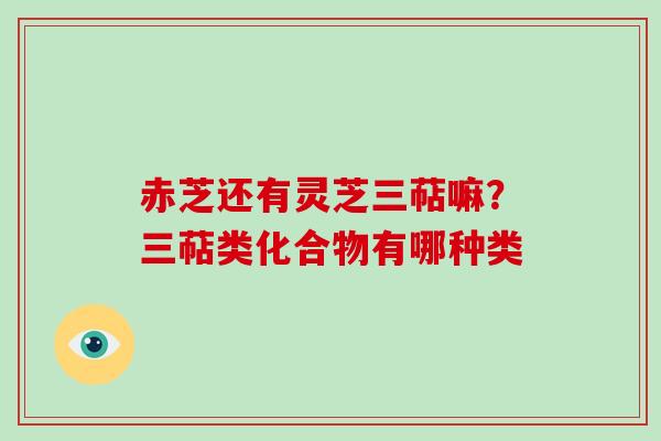 赤芝还有灵芝三萜嘛?三萜类化合物有哪种类