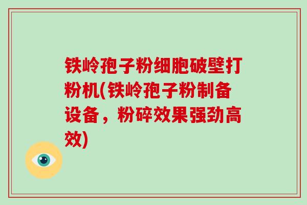 铁岭孢子粉细胞破壁打粉机(铁岭孢子粉制备设备，粉碎效果强劲高效)
