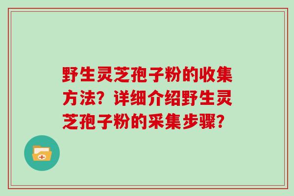 野生灵芝孢子粉的收集方法?详细介绍野生灵芝孢子粉的采集步骤?