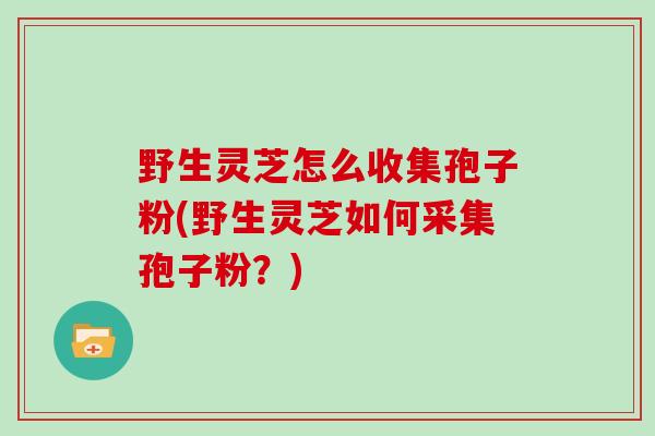 野生灵芝怎么收集孢子粉(野生灵芝如何采集孢子粉?)