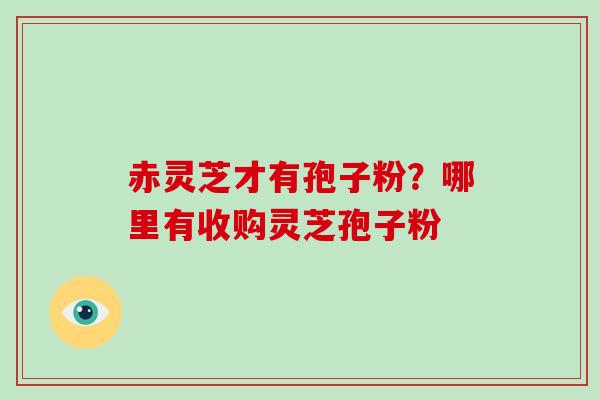 赤灵芝才有孢子粉?哪里有收购灵芝孢子粉