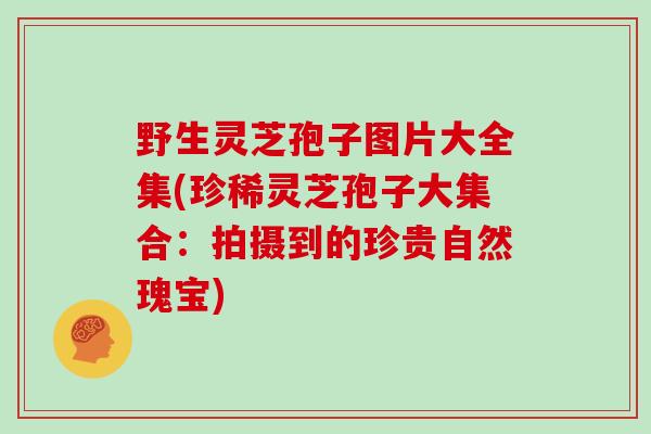 野生灵芝孢子图片大全集(珍稀灵芝孢子大集合：拍摄到的珍贵自然瑰宝)