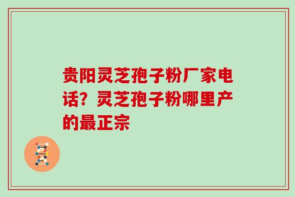 贵阳灵芝孢子粉厂家电话？灵芝孢子粉哪里产的最正宗