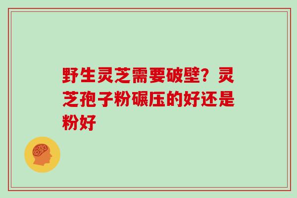 野生灵芝需要破壁?灵芝孢子粉碾压的好还是粉好