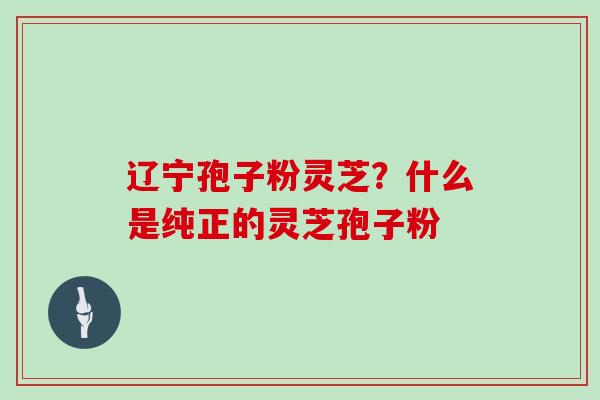 辽宁孢子粉灵芝？什么是纯正的灵芝孢子粉