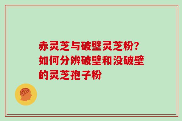 赤灵芝与破壁灵芝粉?如何分辨破壁和没破壁的灵芝孢子粉