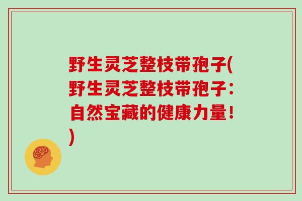野生灵芝整枝带孢子(野生灵芝整枝带孢子：自然宝藏的健康力量！)