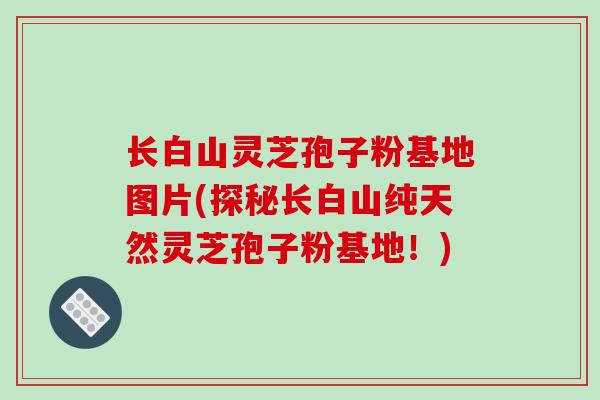 长白山灵芝孢子粉基地图片(探秘长白山纯天然灵芝孢子粉基地!)