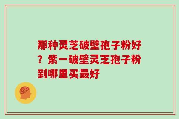 那种灵芝破壁孢子粉好？紫一破壁灵芝孢子粉到哪里买最好