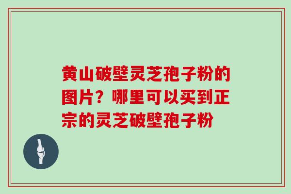 黄山破壁灵芝孢子粉的图片?哪里可以买到正宗的灵芝破壁孢子粉