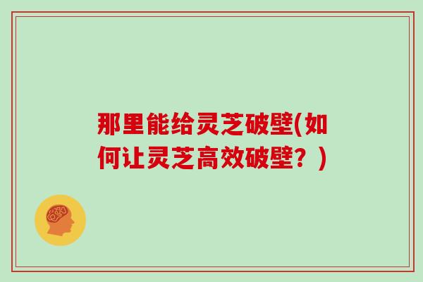 那里能给灵芝破壁(如何让灵芝高效破壁?)
