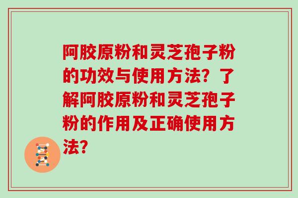 阿胶原粉和灵芝孢子粉的功效与使用方法?了解阿胶原粉和灵芝孢子粉的作用及正确使用方法?