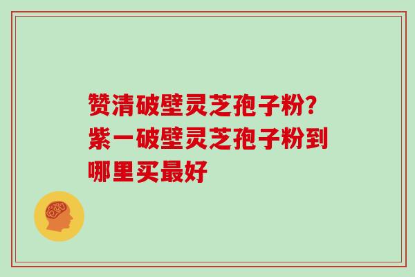 赞清破壁灵芝孢子粉?紫一破壁灵芝孢子粉到哪里买最好