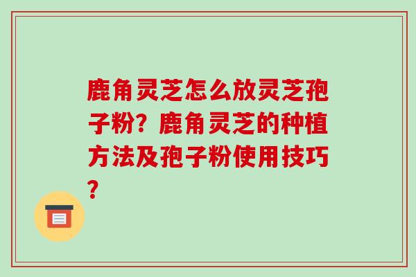 鹿角灵芝怎么放灵芝孢子粉？鹿角灵芝的种植方法及孢子粉使用技巧？
