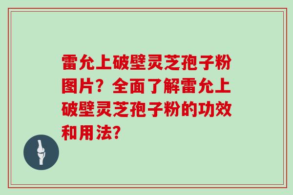 雷允上破壁灵芝孢子粉图片？全面了解雷允上破壁灵芝孢子粉的功效和用法？
