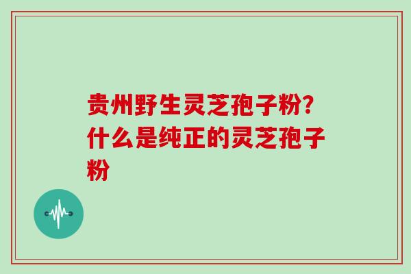 贵州野生灵芝孢子粉?什么是纯正的灵芝孢子粉