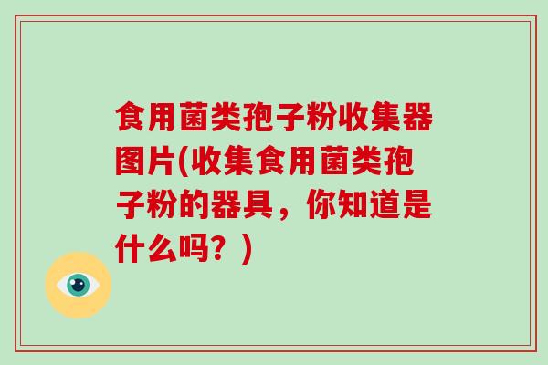 食用菌类孢子粉收集器图片(收集食用菌类孢子粉的器具,你知道是什么吗?)