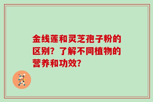 金线莲和灵芝孢子粉的区别?了解不同植物的营养和功效?