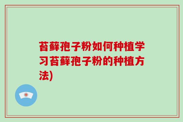 苔藓孢子粉如何种植学习苔藓孢子粉的种植方法)