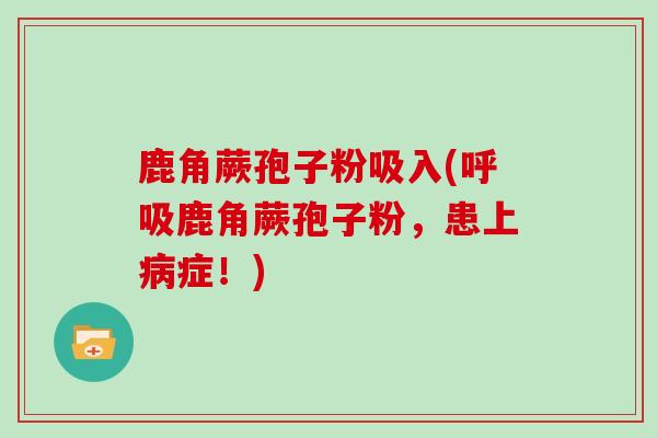 鹿角蕨孢子粉吸入(呼吸鹿角蕨孢子粉,患上病症!)