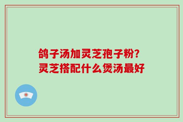 鸽子汤加灵芝孢子粉?灵芝搭配什么煲汤最好