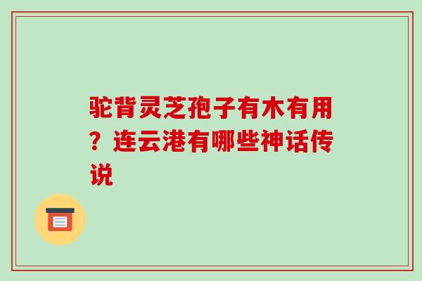 驼背灵芝孢子有木有用？连云港有哪些神话传说