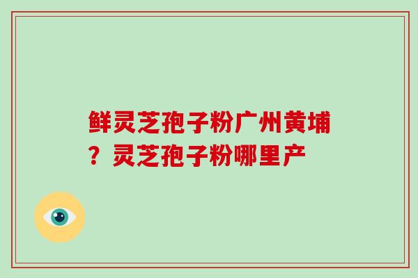 鲜灵芝孢子粉广州黄埔？灵芝孢子粉哪里产