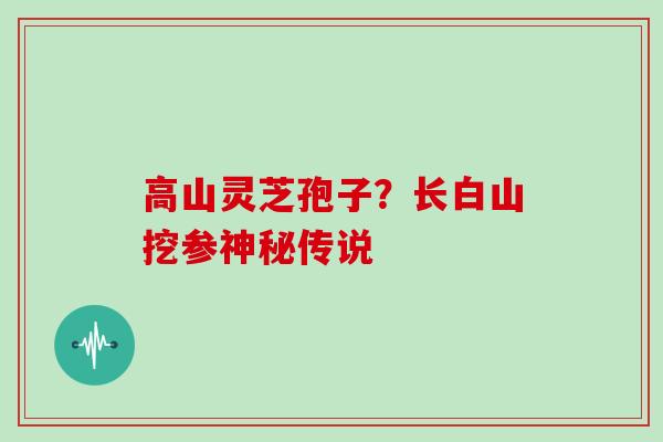高山灵芝孢子?长白山挖参神秘传说
