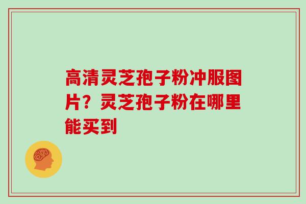 高清灵芝孢子粉冲服图片?灵芝孢子粉在哪里能买到