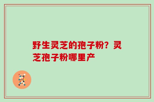野生灵芝的孢子粉？灵芝孢子粉哪里产
