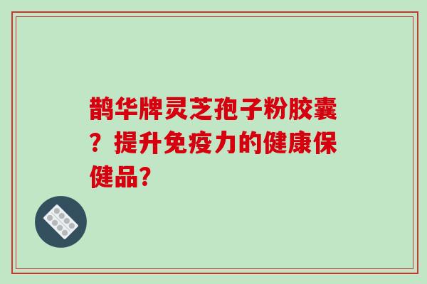 鹊华牌灵芝孢子粉胶囊?提升免疫力的健康保健品?