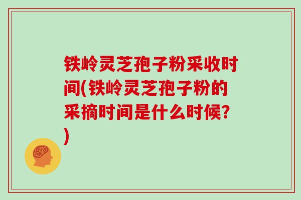 铁岭灵芝孢子粉采收时间(铁岭灵芝孢子粉的采摘时间是什么时候?)