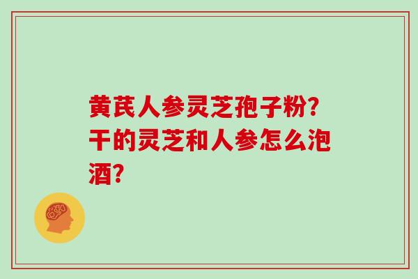 黄芪人参灵芝孢子粉?干的灵芝和人参怎么泡酒?