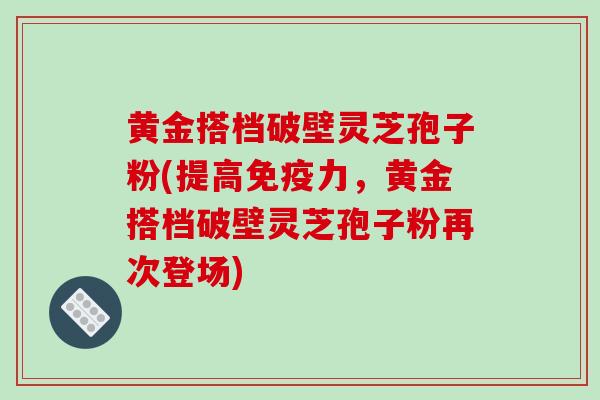 黄金搭档破壁灵芝孢子粉(提高免疫力，黄金搭档破壁灵芝孢子粉再次登场)