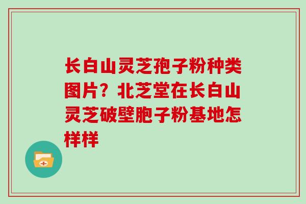 长白山灵芝孢子粉种类图片?北芝堂在长白山灵芝破壁胞子粉基地怎样样