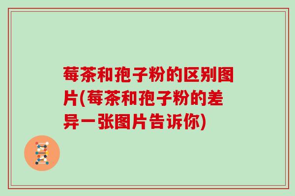 莓茶和孢子粉的区别图片(莓茶和孢子粉的差异一张图片告诉你)