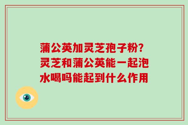 蒲公英加灵芝孢子粉?灵芝和蒲公英能一起泡水喝吗能起到什么作用