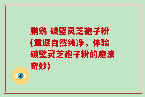 鹏鹞 破壁灵芝孢子粉(重返自然纯净,体验破壁灵芝孢子粉的魔法奇妙)