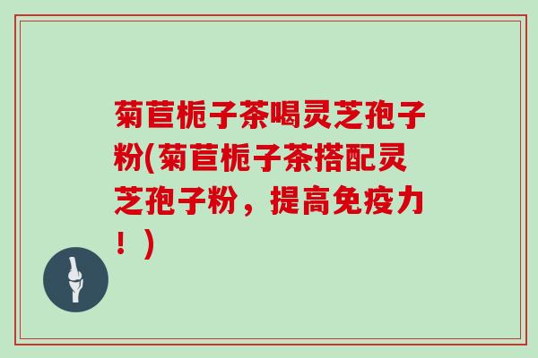 菊苣栀子茶喝灵芝孢子粉(菊苣栀子茶搭配灵芝孢子粉,提高免疫力!)