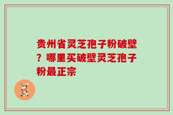 贵州省灵芝孢子粉破壁?哪里买破壁灵芝孢子粉最正宗