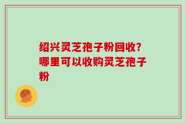 绍兴灵芝孢子粉回收?哪里可以收购灵芝孢子粉