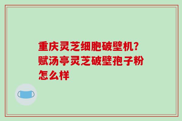 重庆灵芝细胞破壁机?赋汤亭灵芝破壁孢子粉怎么样