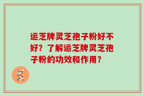 运芝牌灵芝孢子粉好不好？了解运芝牌灵芝孢子粉的功效和作用？