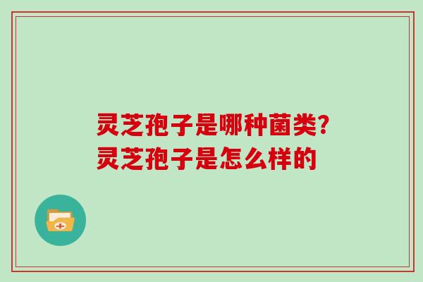 灵芝孢子是哪种菌类?灵芝孢子是怎么样的