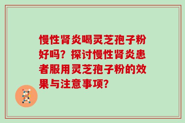慢性肾炎喝灵芝孢子粉好吗?探讨慢性肾炎患者服用灵芝孢子粉的效果与注意事项?