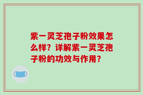 紫一灵芝孢子粉效果怎么样?详解紫一灵芝孢子粉的功效与作用?