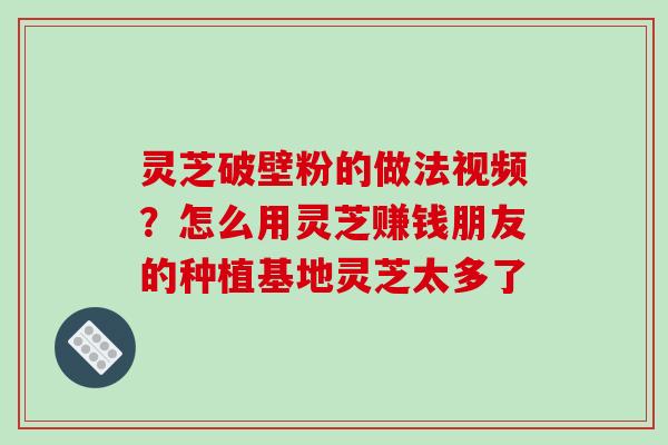 灵芝破壁粉的做法视频？怎么用灵芝赚钱朋友的种植基地灵芝太多了