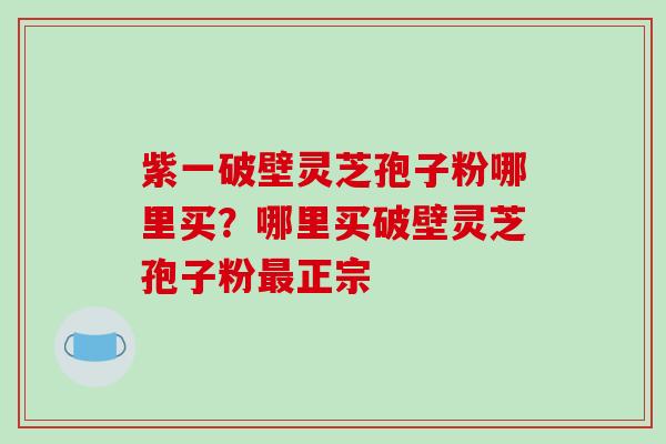 紫一破壁灵芝孢子粉哪里买?哪里买破壁灵芝孢子粉最正宗